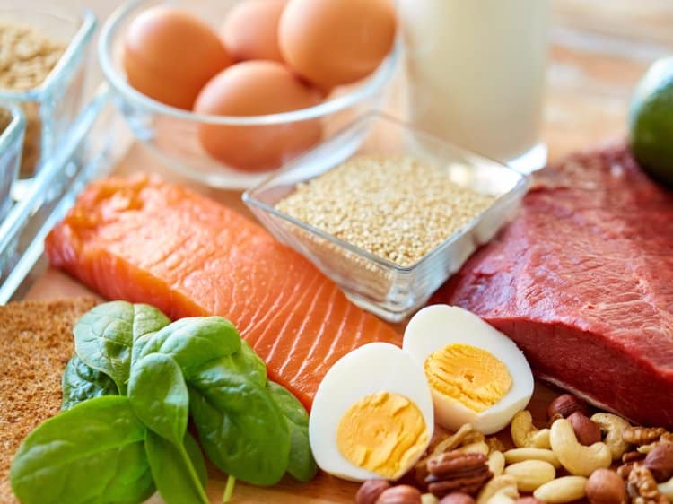 Proteins: building blocks of the body